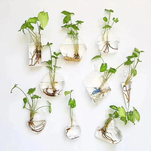 Vista 9 de Kingbuy Juego de Macetas Hexagonales de Pared - Paquete de 3 Jarrones de Terrario de Propagación de Vidrio con Soportes Colgantes para Plantas