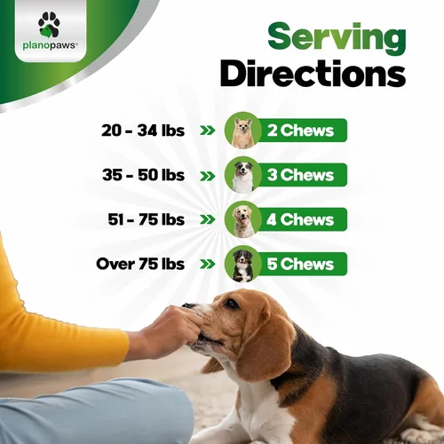 Vista 6 de Probióticos para perros - Masticables para la salud digestiva con prebióticos y enzimas Suplemento probiótico para perros para el intestino