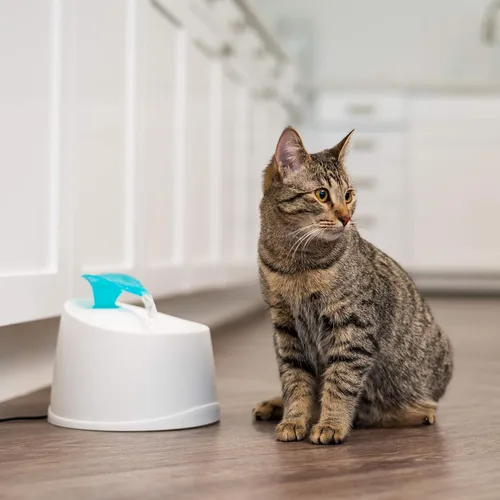 Vista 10 de IRIS USA - Caja de arena para gatos con tapa abierta con pala y escudo de dispersión, color negro + paquete de fuente de agua para gatos de 44