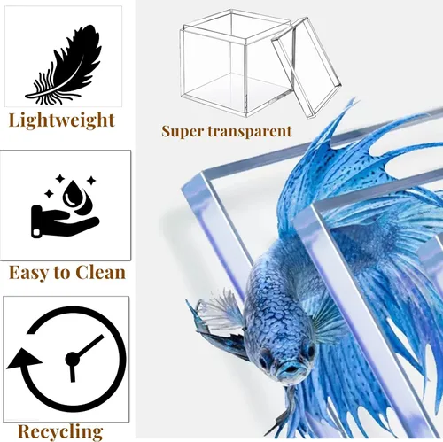 Vista 3 de KissYou Caja de acrílico pequeña caja transparente con tapa Cajas de exhibición de plástico Cubo cuadrado Almacenamiento de joyas Contanier Party