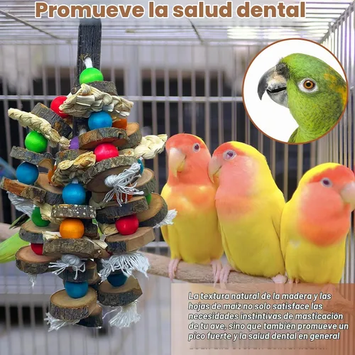 Vista 4 de Juguetes naturales de madera para pájaros de madera para loros pequeños