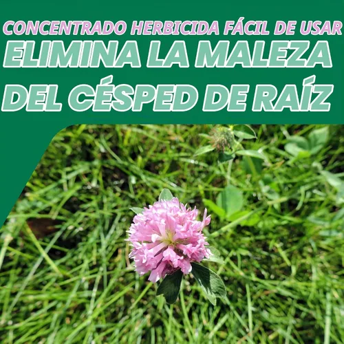 Vista 7 de Ortho Concentrado de pamplina, trébol y oxalis para césped, 16 onzas