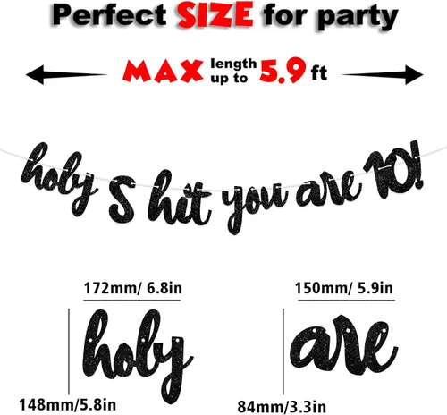 Vista 3 de Holy S*ht You are 10! Banner Backdrop Glitter Black Hello 10 Cheers to 10 Years Old Theme Decor Decorations for Boy Girl Happy 10th Birthday Party