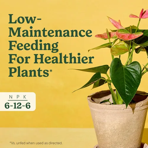 Vista 4 de Miracle-Gro Picos de alimentos para plantas de interior para todas