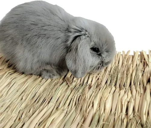 Vista 5 de Hamiledyi Alfombrilla de césped tejida para animales pequeños, 3 piezas de ropa de cama de conejito grande, juguete para masticar, juguete de cama