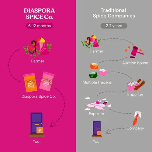 Vista 7 de Diaspora Spice Co. Pimienta negra entera Aranya Granos de pimienta entera de cosecha fresca de origen único de la India, alto aroma, sabor audaz