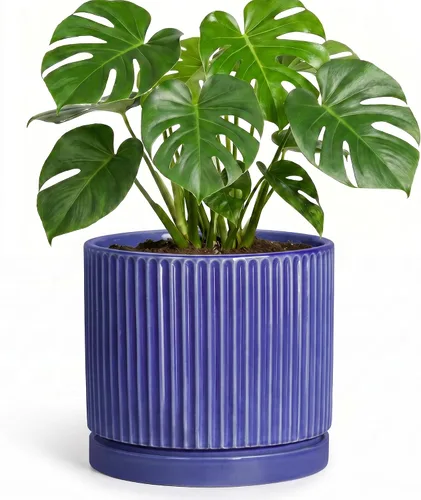 Vista 18 de 8 Inch Flower Pot, Ceramic Planters, Round Plant Pot, Beige