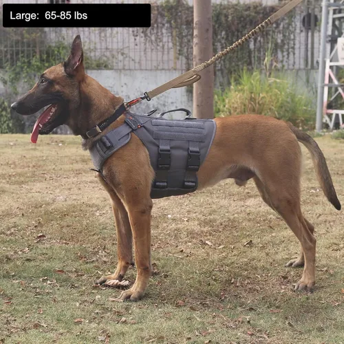 Vista 2 de ICEFANG - Arnés táctico para perro con 6 hebillas, chaleco con sistema molle con asa para perro, 3/4 del cuerpo, panel con velcro para parche