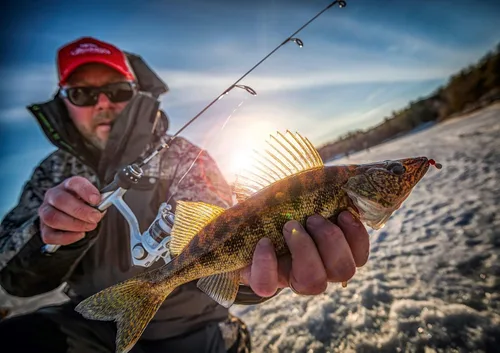 Vista 2 de Berkley Trilene – Hilo de pesca de fluorocarbono 100% para pesca en hielo