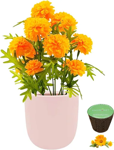 Vista 2 de Kit de cultivo hidropónico, kit de inicio de jardín con riego automático con maceta de cerámica rosa y semillas (manzanilla)