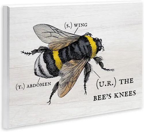 Vista 2 de Stupell Industries Anatomía de Honey Bee Pun Charming Bee's Knees Stupell Industries 15 x 10 Inches, Easy to Hang and Sturdy, Made in USA, by