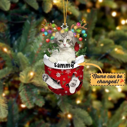 Vista 2 de Adorno personalizado de gato de rizo americano, adorno personalizado con nombre de mascota, colgante acrílico plano impreso en 2D, Papá Noel y gato