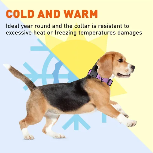 Vista 6 de Dogline Biothane - Collar impermeable para perro con hebilla de liberación rápida, resistente cincha de nailon recubierta con resistente y a prueba