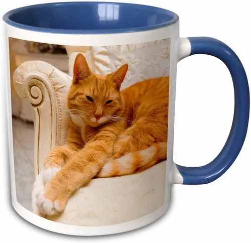 Vista 12 de 3dRose, Taza negra de dos tonos de 15 onzas, negro/blanco