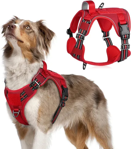Vista 37 de rabbitgoo Arnés táctico para perros pequeños, chaleco de servicio militar sin tirones con asa y Molle, de fácil control para entrenar y caminar