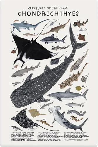 Vista 11 de Póster de lienzo de animales para pared, imágenes de animales, guía de coleópteros, insectos, escarabajos, impresiones de conocimiento, estética
