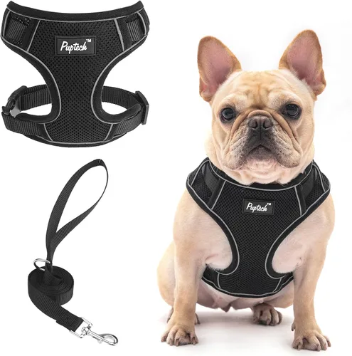 Vista 21 de PUPTECK Juego de arnés y correa para perro pequeño, arnés ajustable sin tirones para cachorro, chaleco de malla suave reflectante para mascotas
