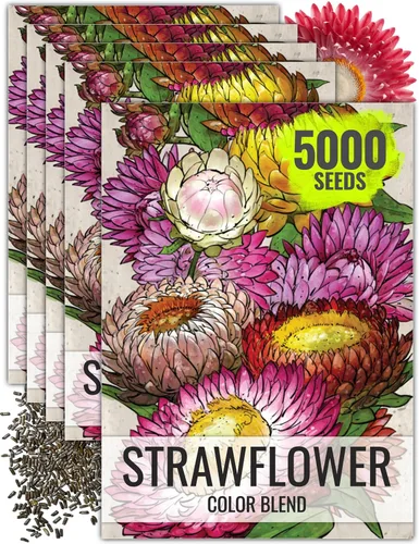 Vista 8 de Seed Needs - Semillas de fresa para plantar flores cortadas anuales mixtas, 1 paquete