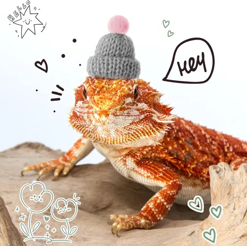 Vista 6 de Kajaia Sombrero de Navidad de serpiente para mascotas, sombrero de hámster con correa elástica ajustable, bola de serpiente, hámster, pitón