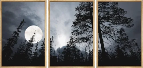 Vista 105 de wall26 Lienzo enmarcado para pared, juego de arte de noche estrellada sobre montañas, cielo nocturno tranquilo, naturaleza, desierto, fotografía