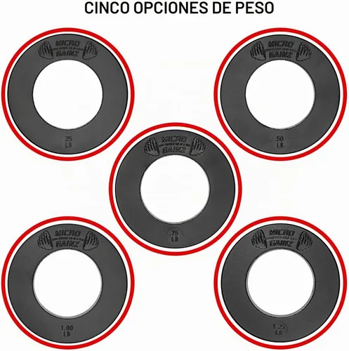 Vista 4 de Micro Gainz - Juego de discos de peso olímpicos fraccionales, juego de 10 discos olímpicos con bolsa, diseñado para pesas olímpicas