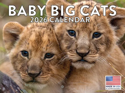 Vista 41 de Calendario mensual de pared de alpaca 2025 Fabricado en Estados Unidos
