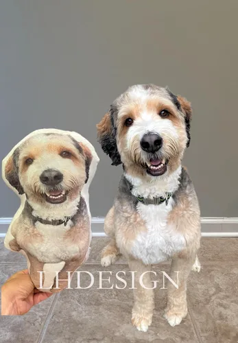 Vista 3 de Almohada conmemorativa personalizada para mascotas con pérdida de perro y gato en el hogar, multicolor, 16 pulgadas
