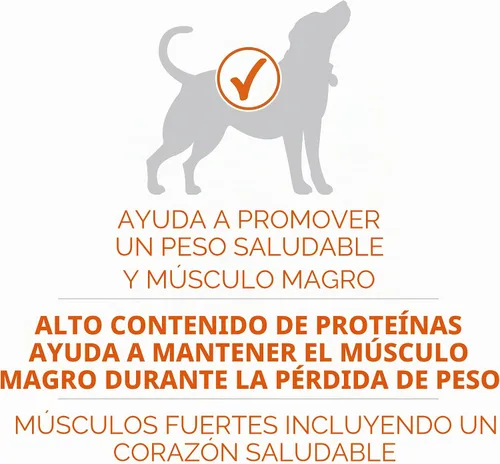 Vista 4 de Purina ONE SmartBlend Natural Peso saludable, fórmula para adulto, alimentos secos para perros y comida húmeda para perros