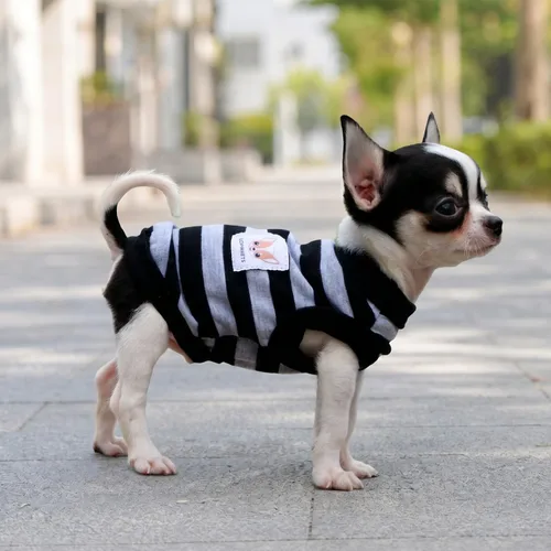 Vista 4 de Lophipets camisas para perros pequeños 100% algodón a rayas para cachorros perros Chihuahua