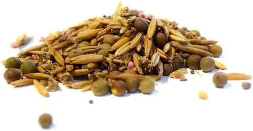 Vista 6 de Hancock - Semillas de parcela de alimentos de otoño e invierno para ciervos y caza, alta proteína, mezcla de germinación rápida, bolsa de 5 libras