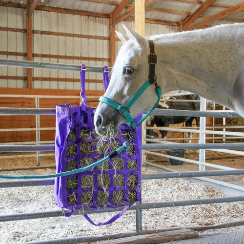 Vista 2 de Majestic Ally Halter de cuero con cuerda de plomo a juego para caballos - Corona de cuero - Correa ajustable para la barbilla - Pestillo enrollado