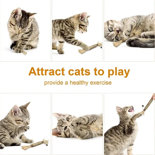 Vista 7 de Silvervine Sticks - Juguetes interactivos para gatos de interior para dentición, paquete de 3