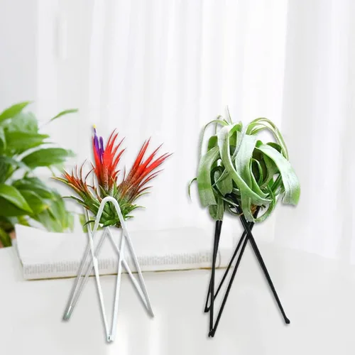 Vista 9 de ljhnba Soporte para plantas de aire de estilo nórdico, soporte de maceta de metal, soporte geométrico de hierro Tillandsia, exhibición de arte