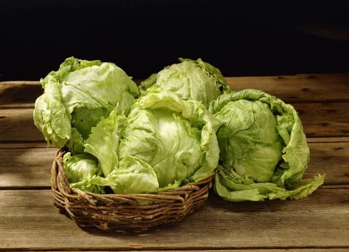 Vista 3 de Semillas Iceberg Lechuga Verde Crisphead Buttercrunch No GMO Heirloom