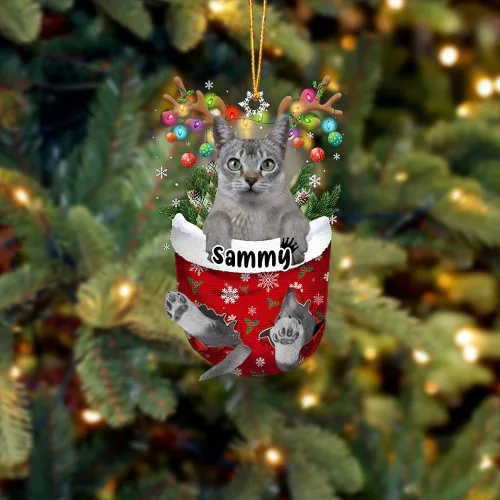 Vista 27 de Adorno personalizado de gato de rizo americano, adorno personalizado con nombre de mascota, colgante acrílico plano impreso en 2D, Papá Noel y gato