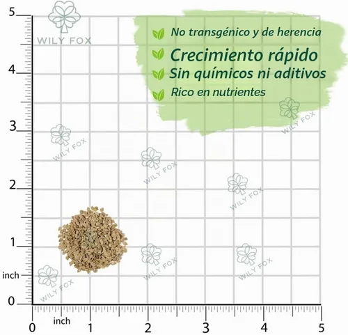 Vista 2 de Dwarf Duo Tiny Tim Semillas de tomate – Más de 100 variedades de tomate enano rojo y más de 100 amarillo, semillas de tomate cherry