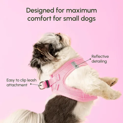 Vista 120 de Downtown Pet Supply Arnés para perro Step-in – Sin tirones, malla acolchada ajustable con ribete reflectante, correa de hebilla segura – Arnés