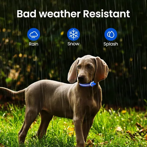 Vista 5 de MASBRILL Collar de perro con luces LED RGB, collar de perro recargable iluminado resistente al agua, collar de perro que brilla por la noche