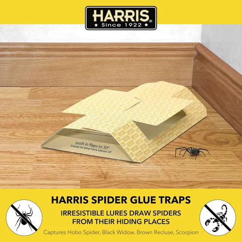 Vista 2 de Harris Trampas de pegamento de araña, sin pesticidas (paquete de 2), mata a los reclusos marrones, arañas hobo, viuda negra y más