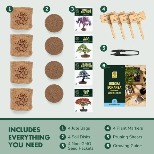 Vista 3 de Kit de principiantes de semillas de árbol Bonsai, Mini juego de cultivo de plantas Bonsai, 4 tipos de semillas, macetas, tijeras de podar