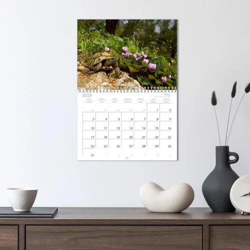 Vista 3 de REPTILES (calendario mensual de pared 2022 11.7 x 16.3 in (abierto)