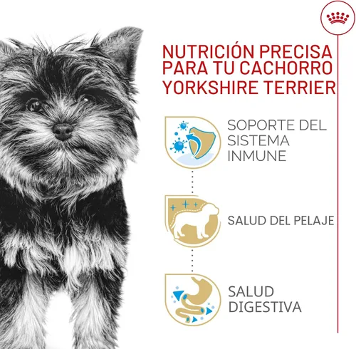 Vista 4 de ROYAL CANIN Yorkshire Terrier - Alimento seco para cachorros, bolsa de 2.5