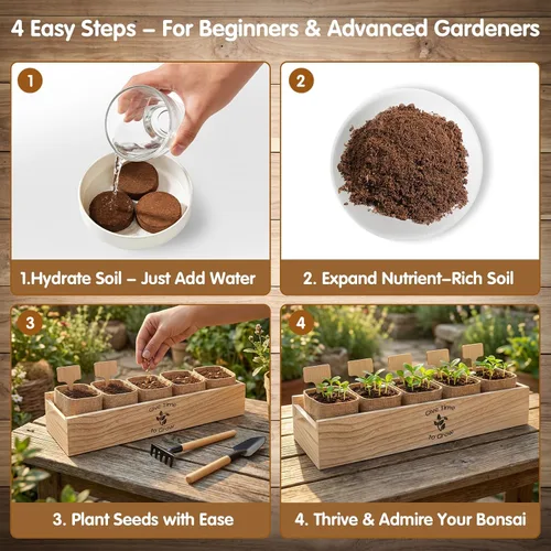Vista 3 de Bonsai Tree Starter Kit for Beginners 5 Unique Indoor Plants