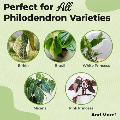 Vista 2 de Perfect Plants - Niebla foliar de filodendro lista para usar Alimento vegetal de interior para el crecimiento del follaje Mezcla equilibrada