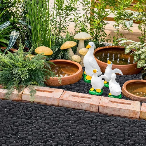 Vista 8 de GreatBuddy Rocas de río negro de 15 libras para paisajismo, guijarros negros pulidos de 1-2 pulgadas, rocas decorativas para plantas