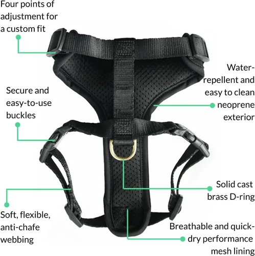 Vista 6 de DJANGO Arnés para perro Adventure - Acolchado y ajustable - Negro, pequeño