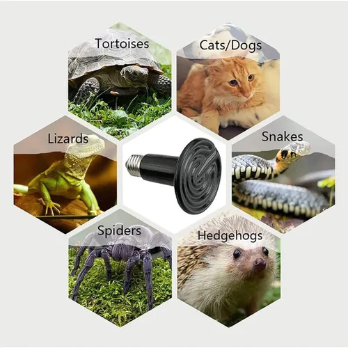 Vista 6 de Lámpara de calor para reptiles, lámpara de calor de 25 a 150 W con pantalla y tubo de hierro antimordeduras, calentador de cerámica infrarroja
