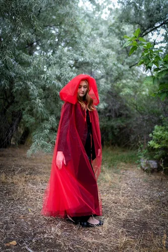 Vista 5 de Little Adventures Capa con capucha transparente de tul para adultos, disfraz de fiesta de cosplay a la moda