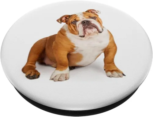 Vista 2 de PopSockets Grip and Stand for Phones and Tablets - Chubasquero con diseño de bulldog inglés