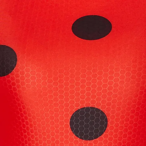 Vista 4 de InSpirit Designs Disfraz de mariquita milagrosa para niños